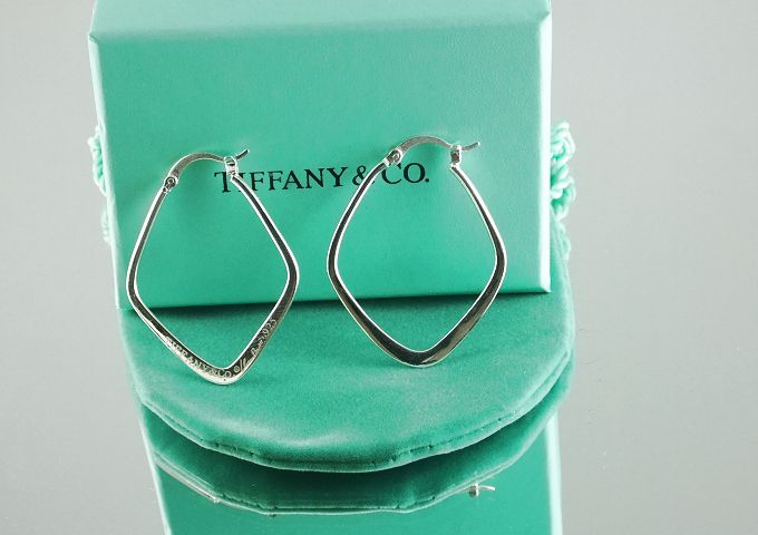 tiffany Earrings-166